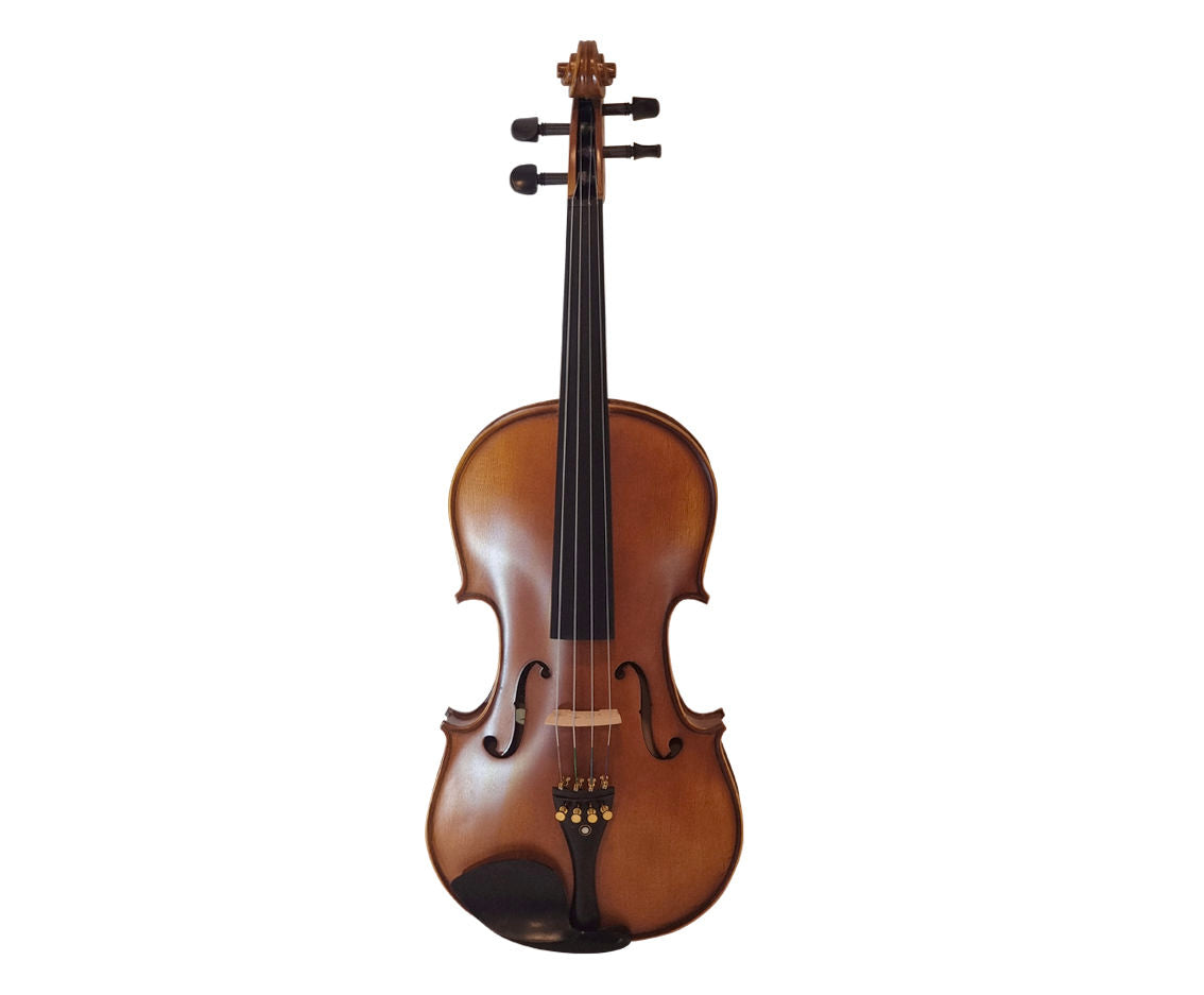 MARCIANO VA-20 VIOLA
