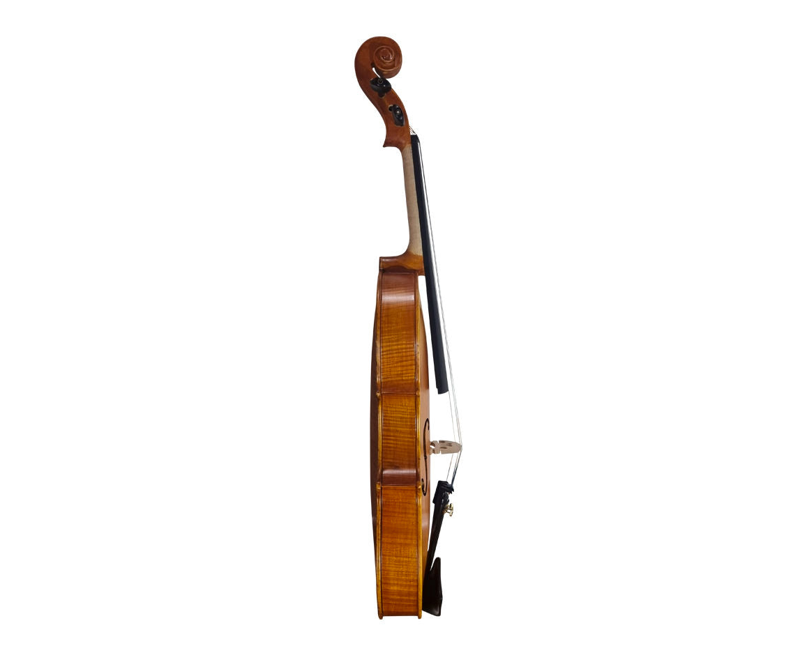 MARCIANO VA-30 VIOLA
