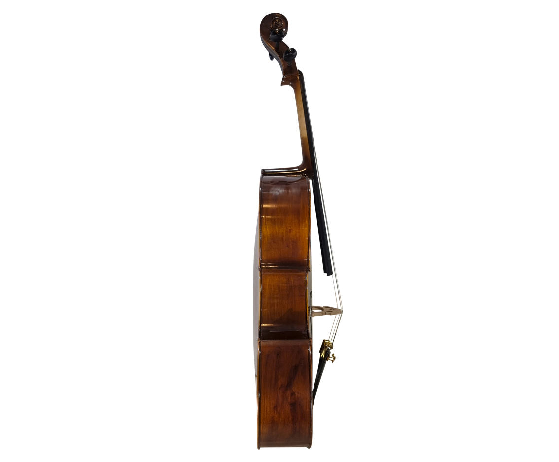 MARCIANO CGMS-21 INTERMEDIATE LEVEL CELLO